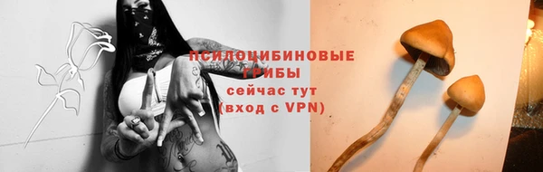 сатива Кукмор