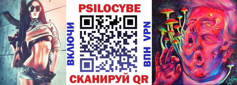 Купить где  Оханск  Псилоцибиновые грибы Cubensis 